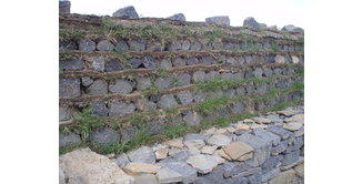 Foto 9 — Transfer nach Þingvellir