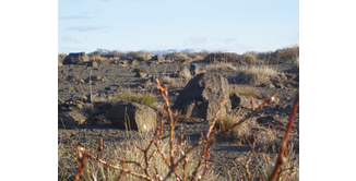 Foto 21 — Transfer nach Þingvellir