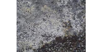 Foto 12 — Tagestour am Hengill