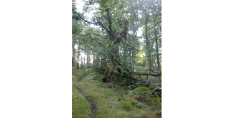 Foto 2 — Bargrennan nach St. John's Town of Dalry