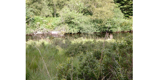 Foto 5 — Bargrennan nach St. John's Town of Dalry