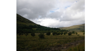 Foto 9 — Bargrennan nach St. John's Town of Dalry