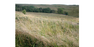 Foto 13 — Bargrennan nach St. John's Town of Dalry