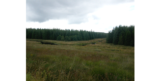 Foto 7 — New Luce nach Bargrennan