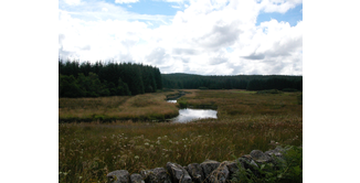 Foto 8 — New Luce nach Bargrennan