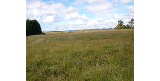 Foto 9 — New Luce nach Bargrennan