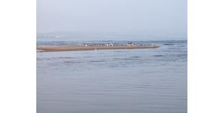 Foto 3 — Portpatrick nach Stranraer