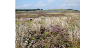 Foto 18 — Portpatrick nach Stranraer