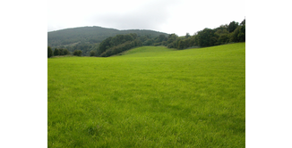 Foto 8 — Stranraer nach New Luce