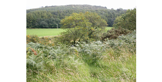 Foto 9 — Stranraer nach New Luce