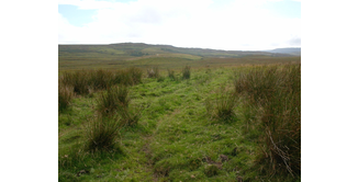 Foto 15 — Stranraer nach New Luce