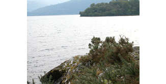 Foto 20 — Drumquhassle nach Rowardennan