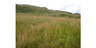 Foto 5 — Inverarnan nach Tyndrum