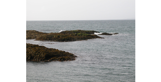 Foto 8 — The Jacobite Steamtrain