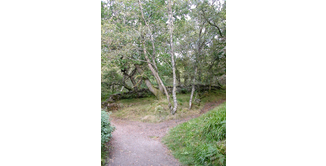 Foto 1 — Milngavie nach Drumquhassle