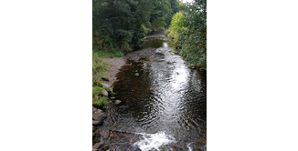 Foto 7 — Milngavie nach Drumquhassle