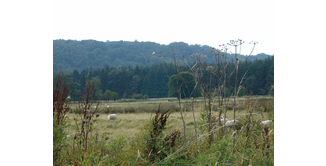 Foto 8 — Milngavie nach Drumquhassle