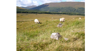 Foto 7 — Tyndrum nach Inveroran